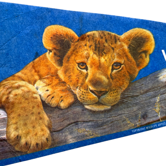 1970s Washington Park Zoo Indiana Pennant