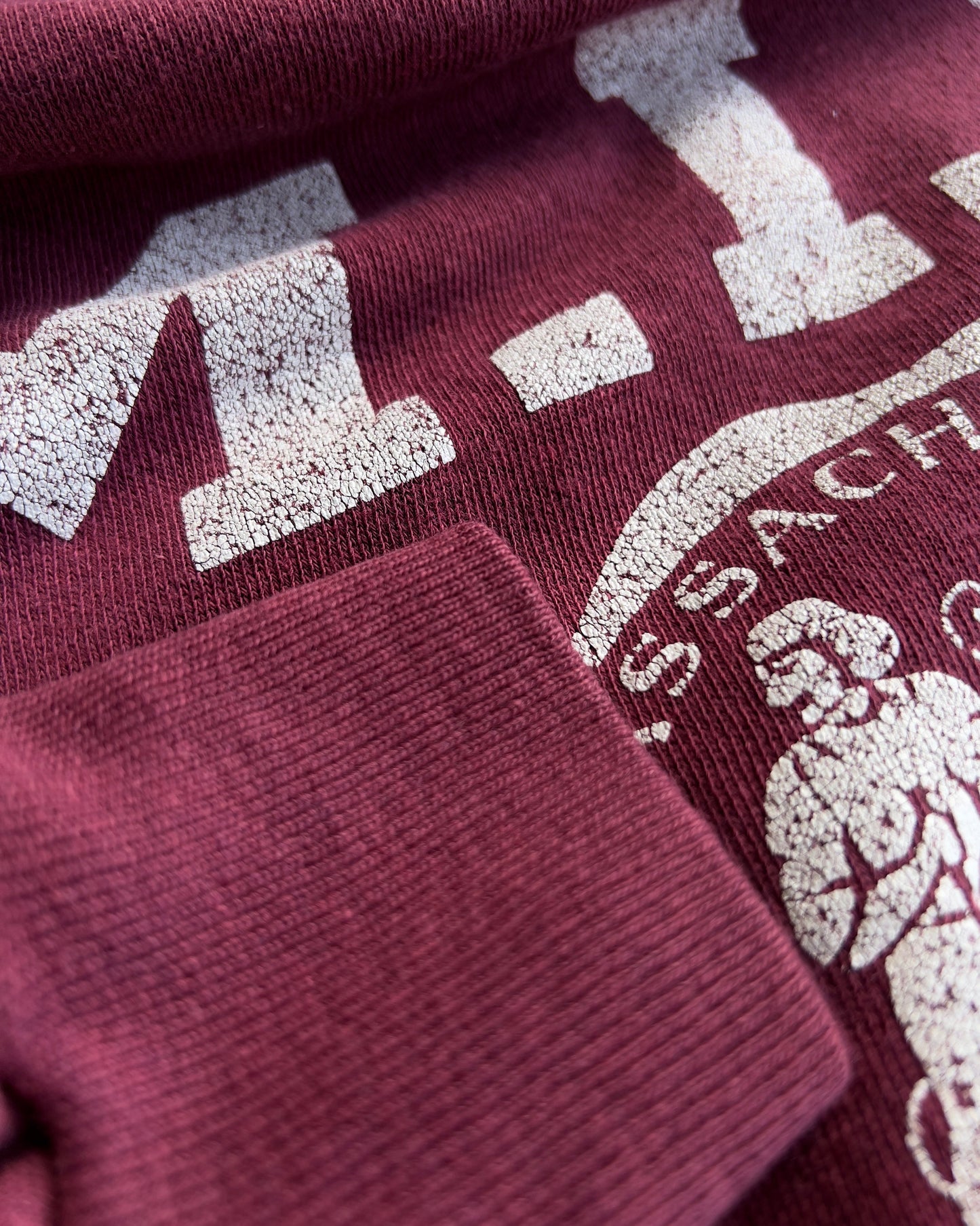 Vintage 1970s MIT Seal Maroon Cotton Raglan Sweatshirt  - Shop ThreadCount Vintage Co.