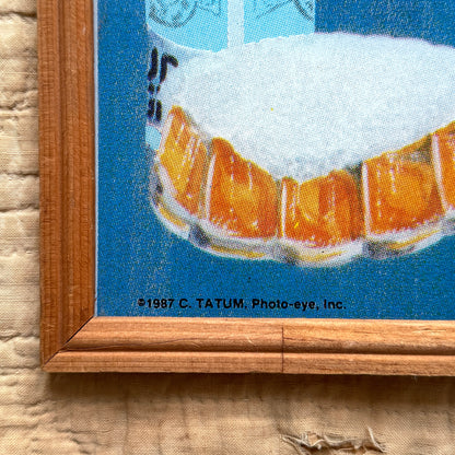 1987 Spuds Mackenzie That's My Kind Of Dog Framed Artwork  - Shop THREADCOUNT Vintage Co.