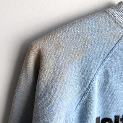 1960s Walt Disney World Flock Print Raglan Sweatshirt  - Shop ThreadCount Vintage Co.