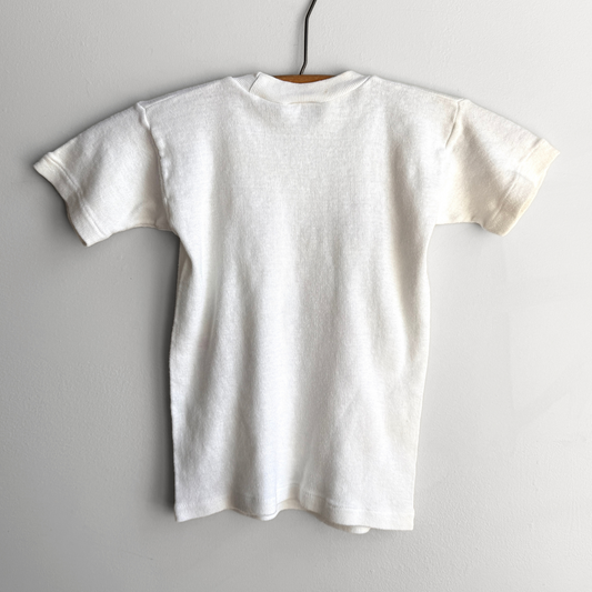 Vintage 1960s Lower Tahquamenon Falls Michigan Graphic Baby Tee  - Shop ThreadCount Vintage Co.