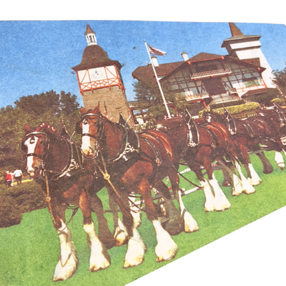 1980s Busch Gardens Tampa Florida Pennant