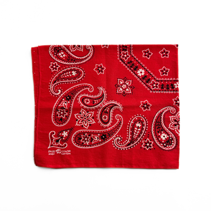 1960s Red Paisley Print Bandana