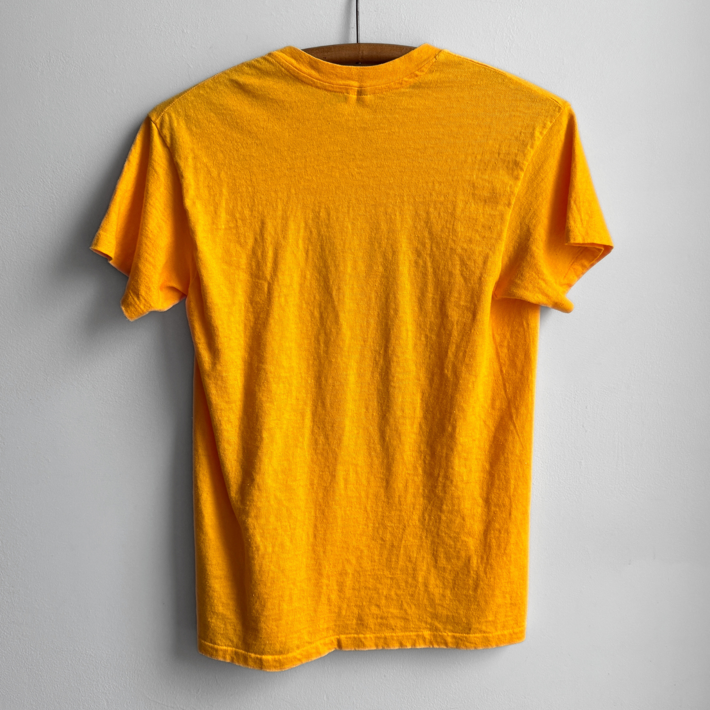 1970s Raise Hell Roach Studios Graphic Tee