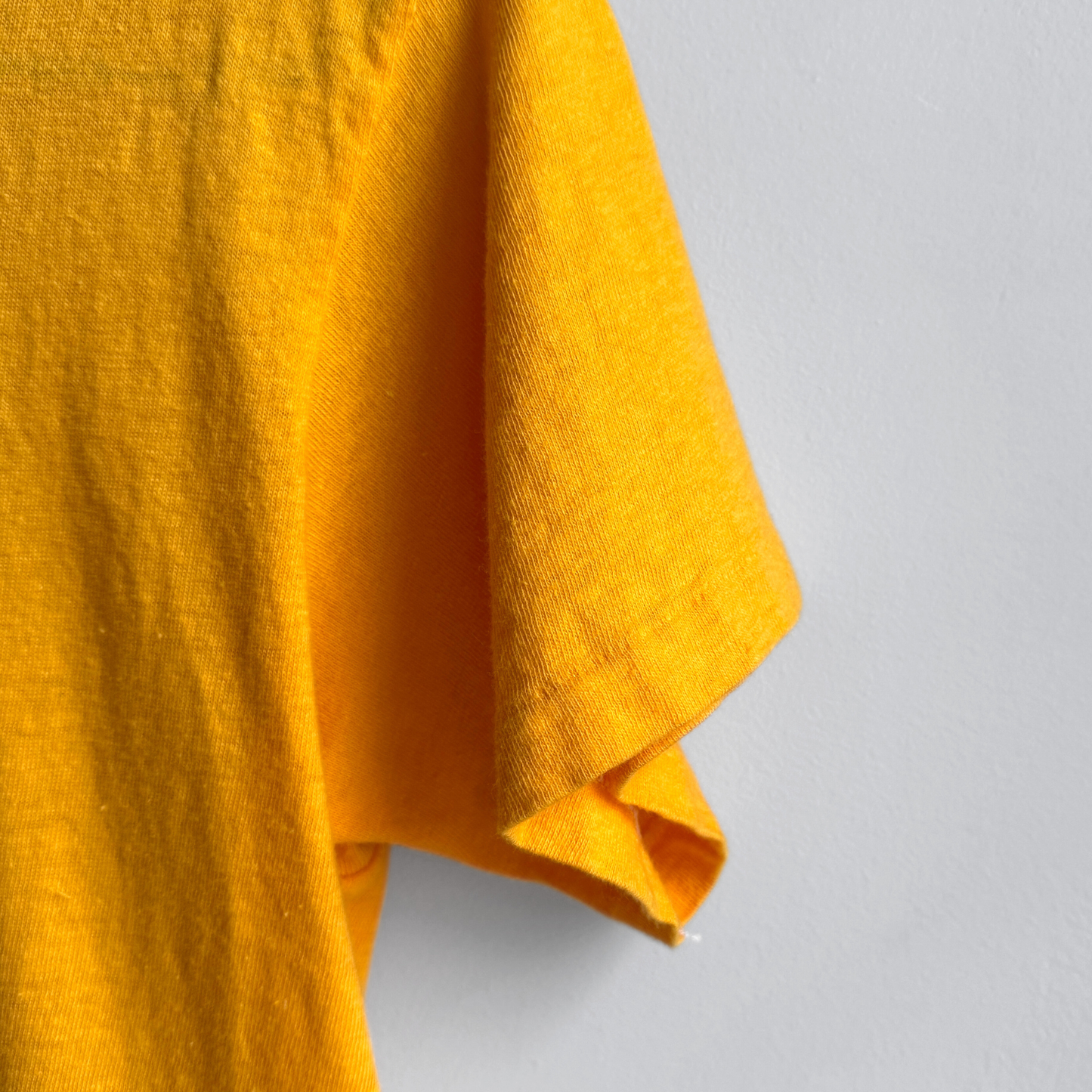 1970s Raise Hell Roach Studios Graphic Tee