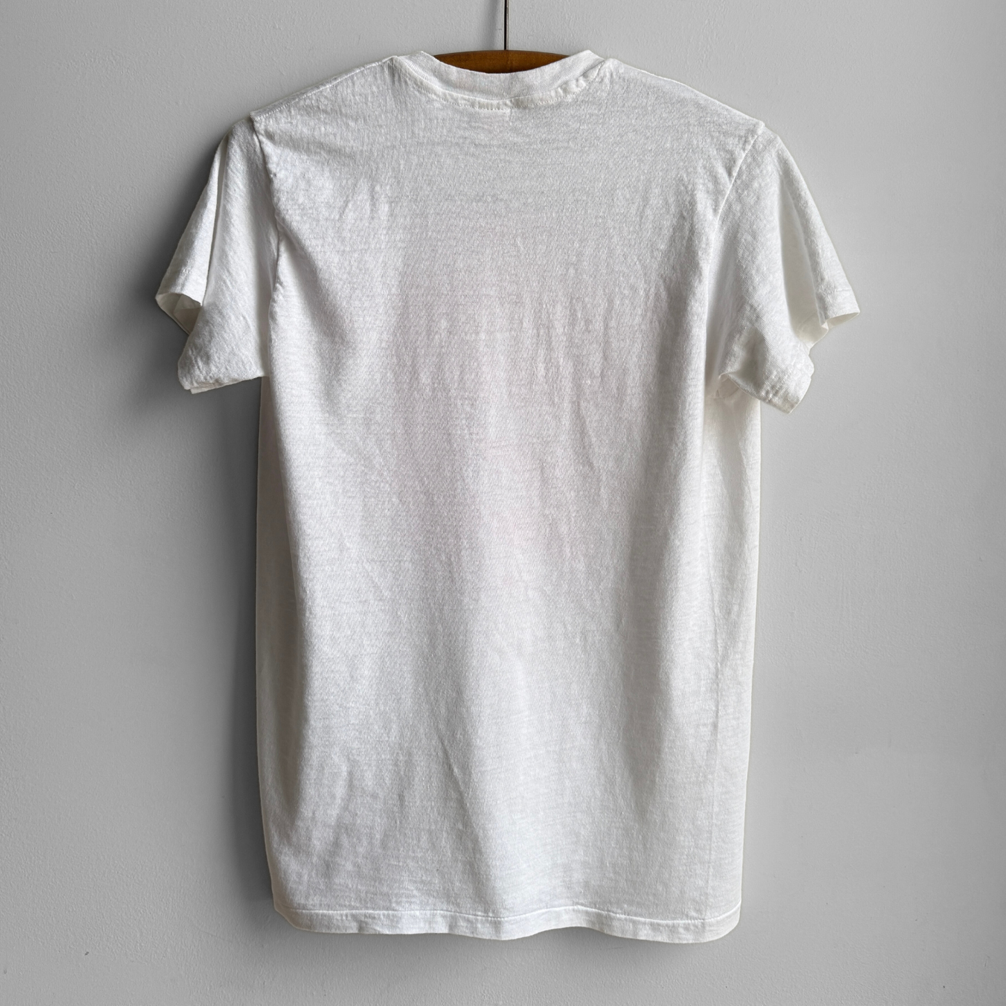 1970s I Showed Mine To The Kentucky Winnebago Tee