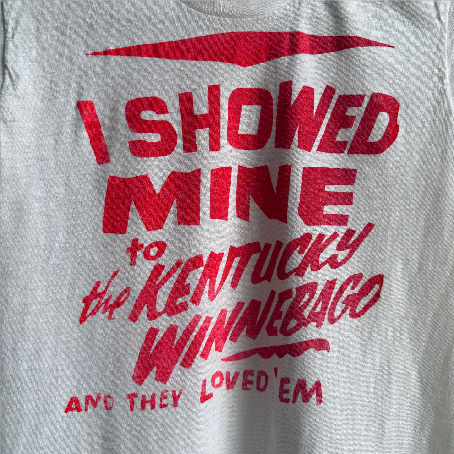 1970s I Showed Mine To The Kentucky Winnebago Tee