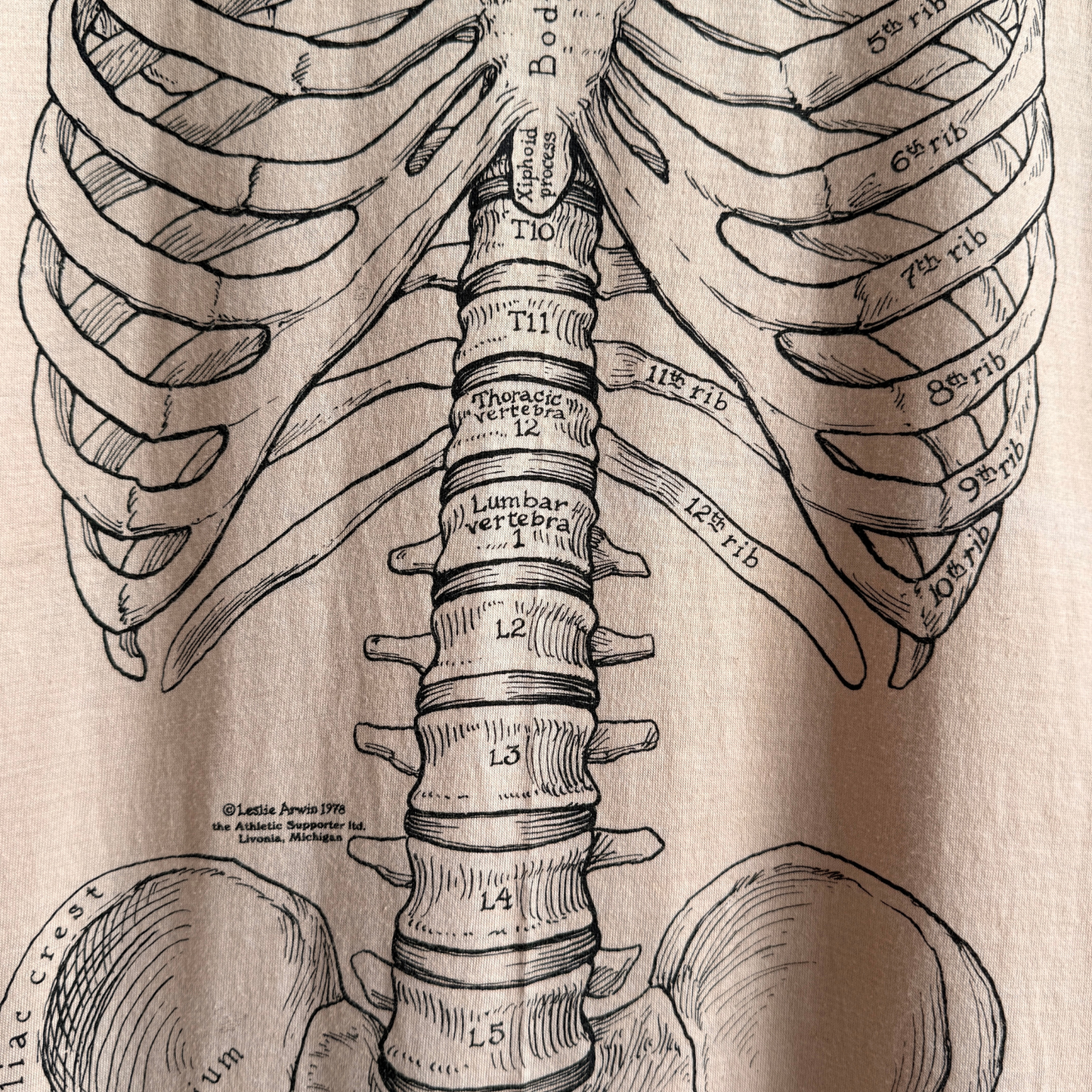 1980s Skeletal Anatomy Leslie Arwin Tee