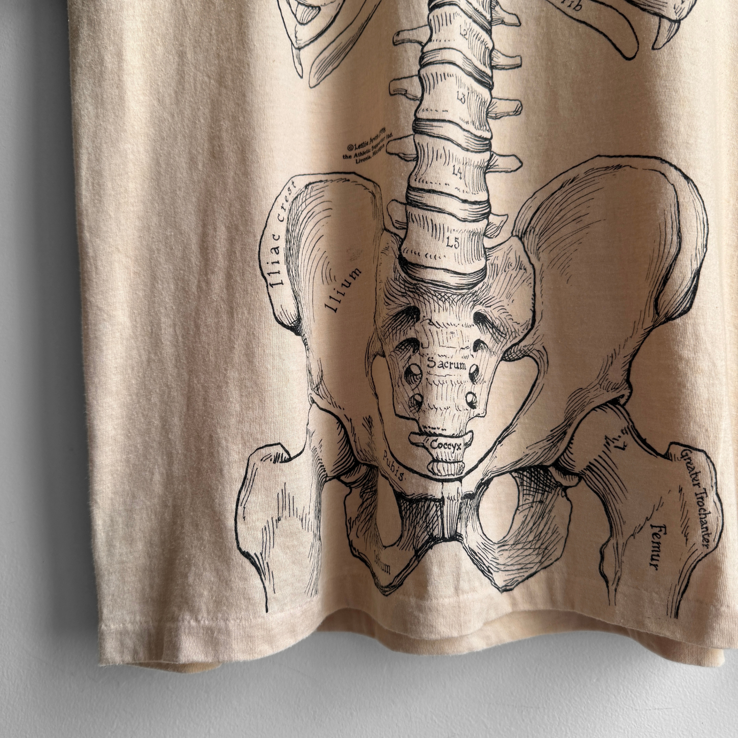 1980s Skeletal Anatomy Leslie Arwin Tee
