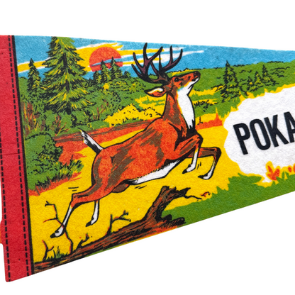 1970s Pokagon State Park Indiana Pennant